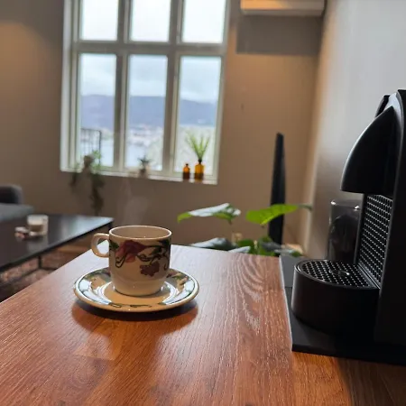 Cozy On Laksevag Apartment Bergen